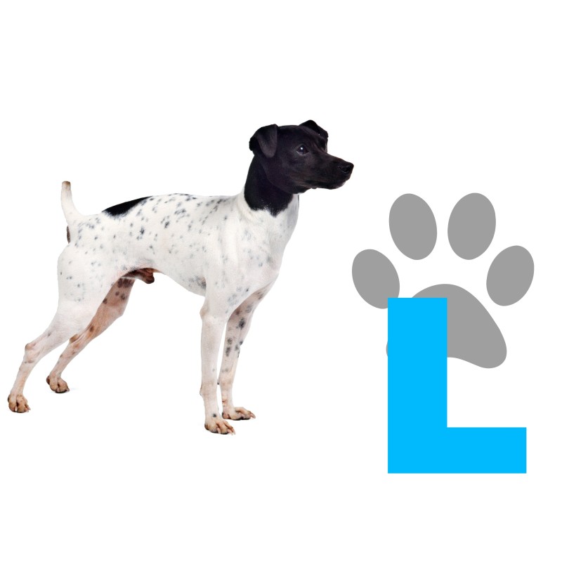 MATERASSO PER ANIMALI DOMESTICI