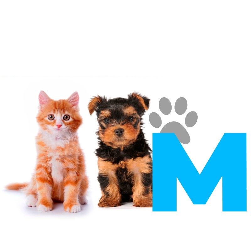 MATERASSO PER ANIMALI DOMESTICI